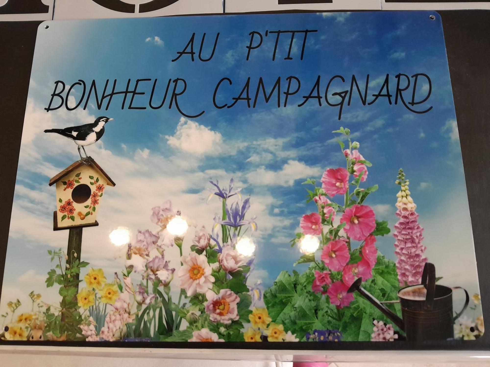 Chambres D Hotes Au P'Tit Bonheur Campagnard Jarnosse Exteriör bild